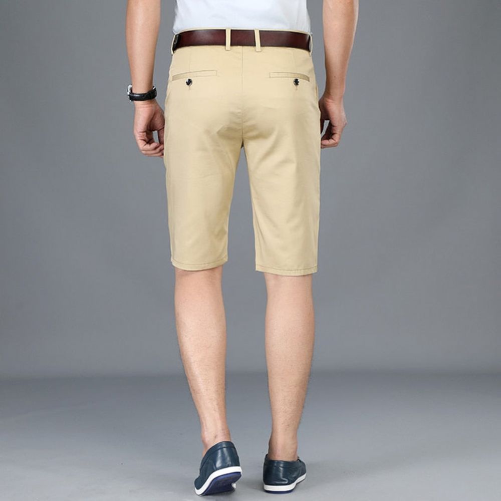 Business Casual Shorts