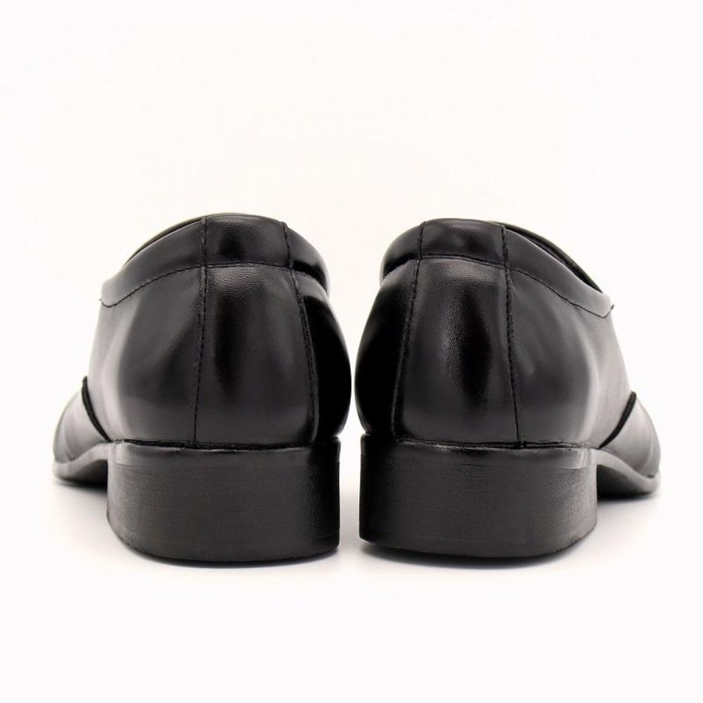 Dress Loafers Pointy Black Shoes