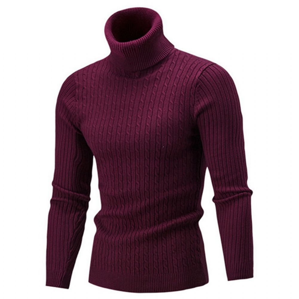 Solid Casual Genser Med Turtleneck