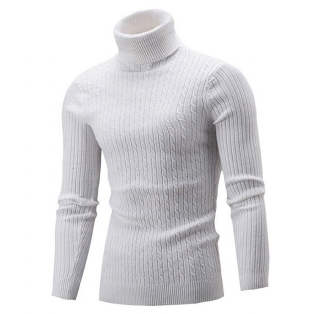 Solid Casual Genser Med Turtleneck