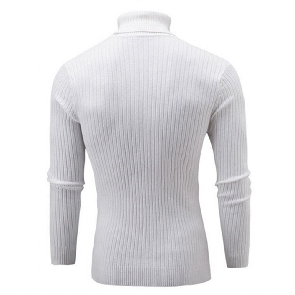 Solid Casual Genser Med Turtleneck