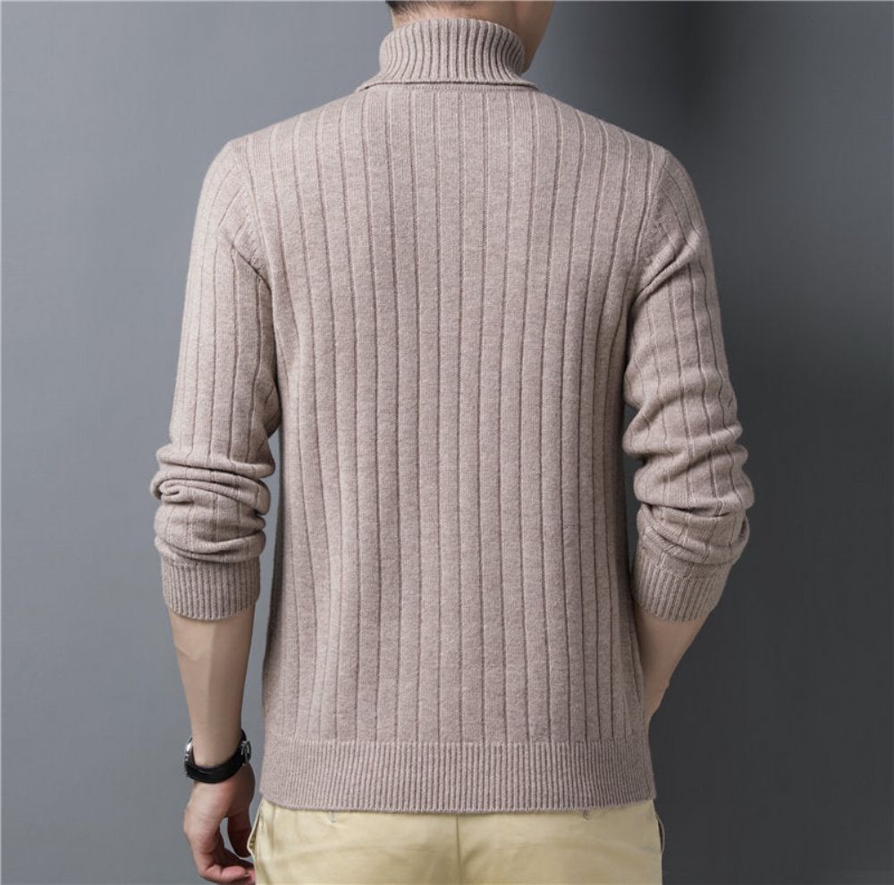 Turtleneck Merino Ullgenser